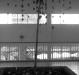 ELEMENTS (1998)