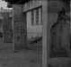 GALONAN (1994)