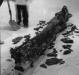 TIGASAW (1998)
